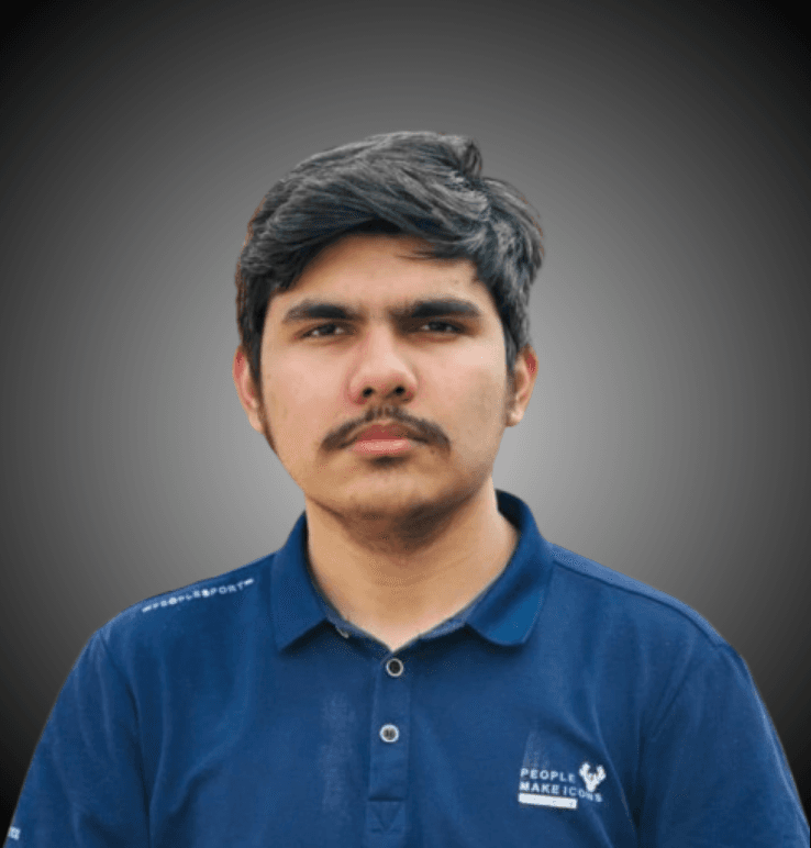Founder of Vector Link Studio